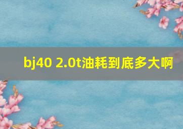 bj40 2.0t油耗到底多大啊